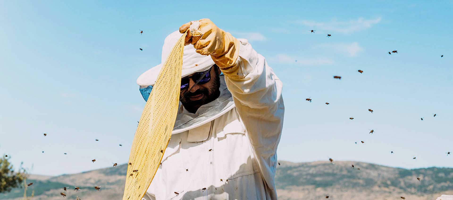 Proizvodnja meda